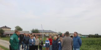 Wyborna uprawa warzyw polowych, cz. 2