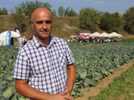 Kapusty odporne na kiłę i do przechowywania – FILM