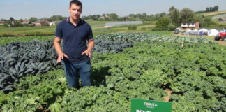 Nowe odmiany warzyw od nowych dostawców nasion – FOTO