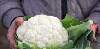 Francuski rynek kalafiorów