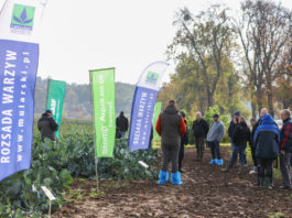 Warsztaty kalafiorowo-brokułowe, czyli jak perfekcyjnie produkować te warzywa