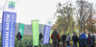 Warsztaty kalafiorowo-brokułowe, czyli jak perfekcyjnie produkować te warzywa