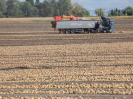 Największe firmy transportowe nie będą obsługiwać ruchu do i z Rosji