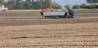 Największe firmy transportowe nie będą obsługiwać ruchu do i z Rosji