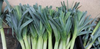 Ceny warzyw na rynkach hurtowych na koniec lipca