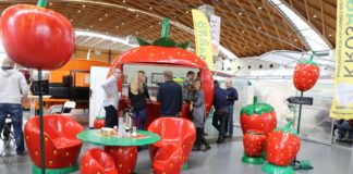 O szparagach w Karlsruhe