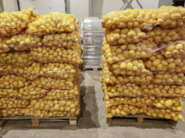 Rolno-spożywcze rynki hurtowe – czy taki handel ma jeszcze znaczenie?