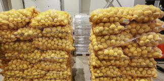 Rolno-spożywcze rynki hurtowe – czy taki handel ma jeszcze znaczenie?