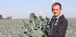 Brokuł Batory – powrót króla – FILM