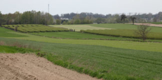 Planowane jest powiększenie listy gatunków małoobszarowych