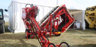 Kombajny do zbioru marchwi i buraków