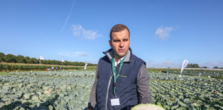 Kapusty, brokuły i kalafiory dopasowane do współczesnego klimatu, cz. I