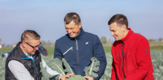 Dobra rozsada sprzyja obfitym i wyrównanym zbiorom warzyw