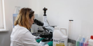 Funkcjonalne i skuteczne, cz. II