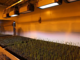 Funkcjonalne i skuteczne, cz. 1