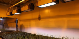 Funkcjonalne i skuteczne, cz. 1