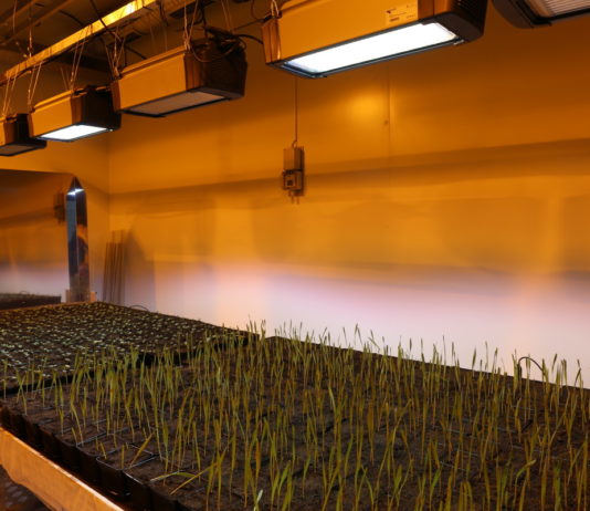 Funkcjonalne i skuteczne, cz. 1