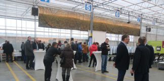 Choroby i szkodniki warzyw trudne w zwalczaniu