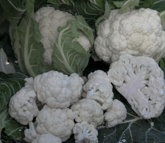 Kalafiory dla przemysłu, jaką wybrać odmianę?