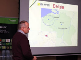 Uprawa kalafiorów w Belgii. Wskazania dla Polski