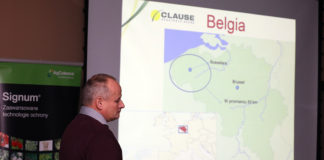 Uprawa kalafiorów w Belgii. Wskazania dla Polski