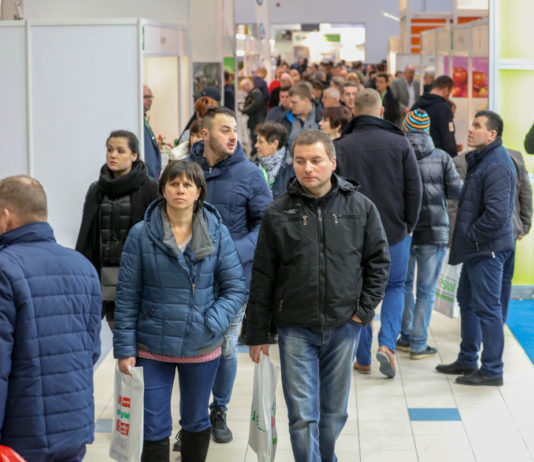 Trendy i wyzwania w uprawie kalafiorów i brokułów na TSW 2018