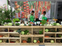 Agrotechniczne aspekty uprawy warzyw na TSW 2017