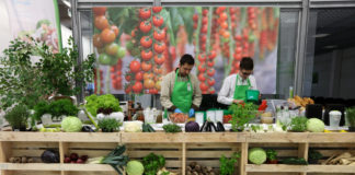 Agrotechniczne aspekty uprawy warzyw na TSW 2017