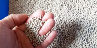 Jakość nasion warzyw i wybór odmiany