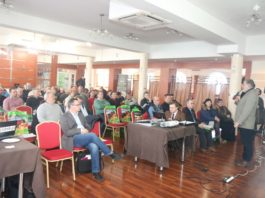 Agro Akademia Pomidorowa. Cz. I – jak prowadzić plantację