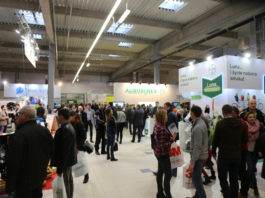 TSW 2021 – przygotowania do kolejnej edycji