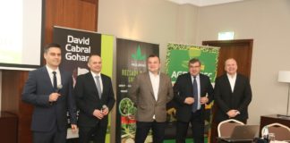 Odmiany warzyw i technologie ich uprawy dla przemysłu