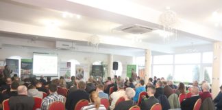 Agro Akademia Pomidorowa – czym kierować się przed założeniem plantacji