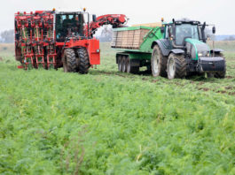 Bezpieczna produkcja warzyw we współpracy z firmą Bayer