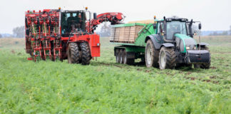 Bezpieczna produkcja warzyw we współpracy z firmą Bayer