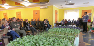 Szkolenie z rozsadą w tle