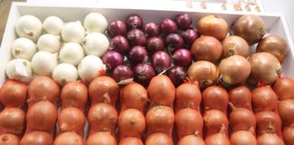 Mniej cebuli z Hiszpanii