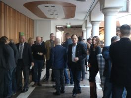 Odmiany warzyw dla przemysłu z firmy HM.Clause