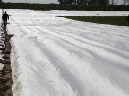 Agrowłóknina na wiosnę i jesień agrowłóknina na warzywa