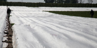 Agrowłóknina na wiosnę i jesień agrowłóknina na warzywa