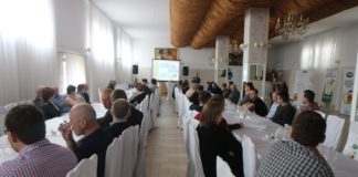 Frusto wspiera swych klientów wiedzą, cz. 2