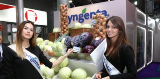 Nagrody za zakup nasion warzyw Syngenta