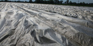 Ubezpieczenia upraw z dotacją państwa