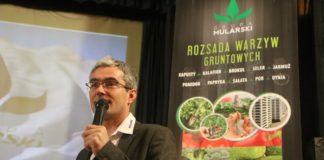 Pomidory przemysłowe dla zakładów przetwórczych