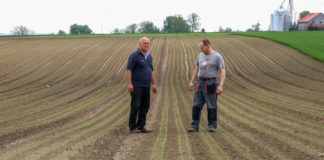 Zwalczanie chwastów tuż po wschodach cebuli. FILM
