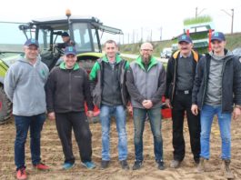 Cebula z rozsady na trudne warunki uprawy