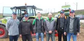 Cebula z rozsady na trudne warunki uprawy