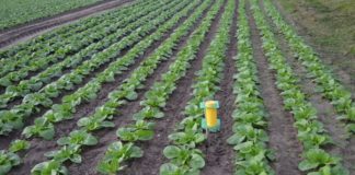 Ochrona przed zwójkami i więcej.