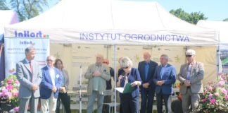 O warzywach w Dąbrowicach