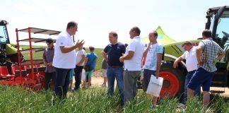 Cebula z rozsady (cz. III) – dlaczego warto ją uprawiać?